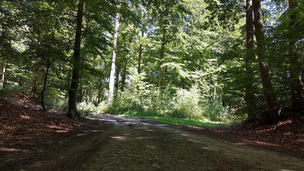 Domki U Eryka Brzyno Bagian luar foto